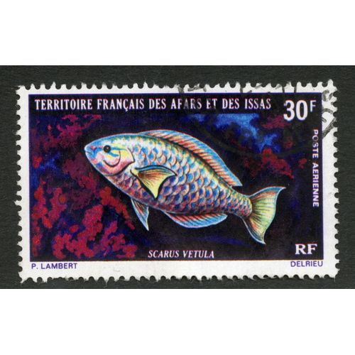 Timbre Oblitéré Territoire Français Des Afars Et Des Issas, Scarus Vetula, 30 F, Rf, Poste Aérienne