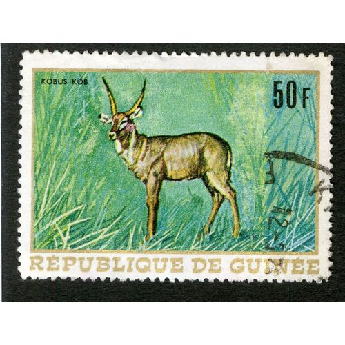 Timbre Oblitéré République De Guinée, Kobus Kob, 50 F