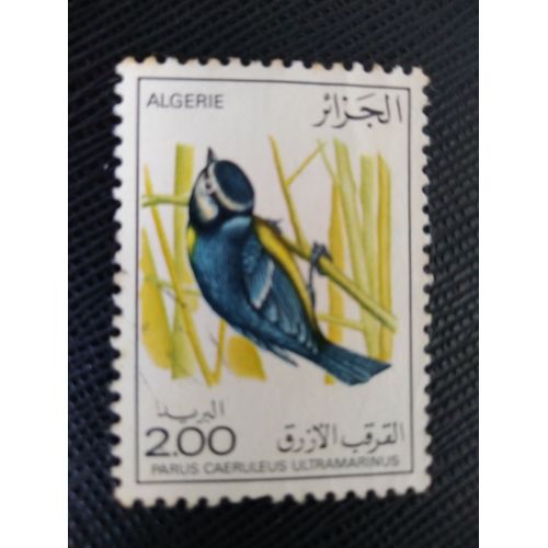 Timbre Algerie Y T 637 Mésange Bleue Africaine (Parus Caeruleus Ultramarinus) 1976 (220509 )