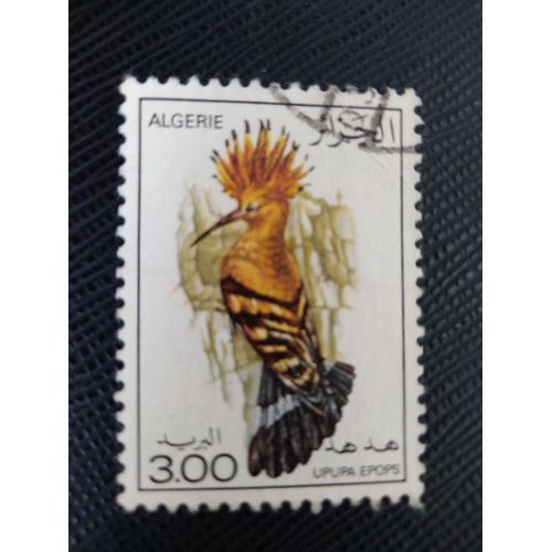 Timbre Algerie Y T 670 Huppe Fasciée (Upupa Epops) 1977 (220509 )