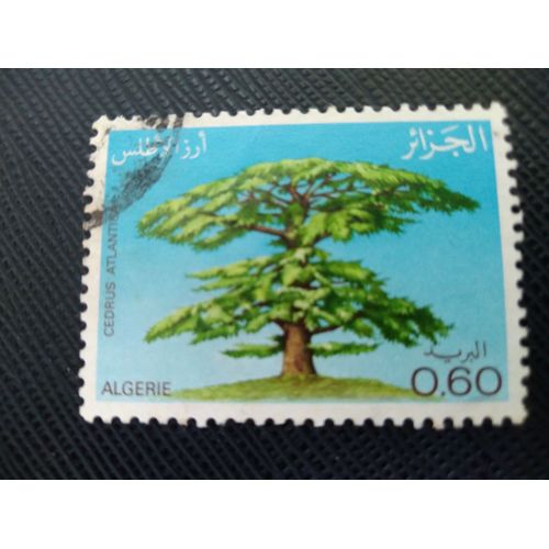 Timbre Algerie Y T 732 Journée De L'Arbre - Cèdre De L'Atlas (Cedrus Atlantica) 1981 (220509 )
