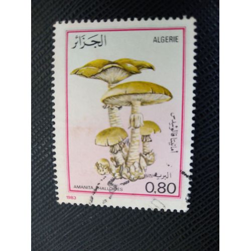 Timbre Algerie Y T 788 Bonnet Mortel (Amanita Phalloides) 1983 (220509 )