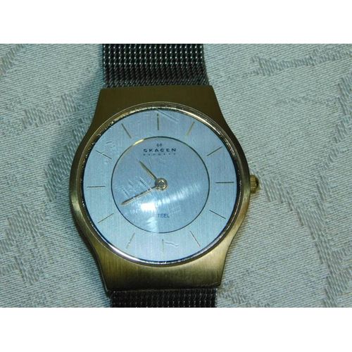 Montre Vintage Pour Homme! Fabricant Skagen Danemark Acier!