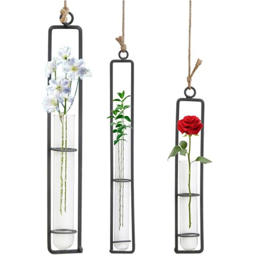 Chenquansarl-Pièces Vase En Verre Fer Forgé, Tube À Essai De Bouteille Suspendue Pour Les Fleurs, Vase En Verre En Fer Forgé, Postuler À Verre Plantes Pour Décoration Maison, Suspension Plante(Le Noi