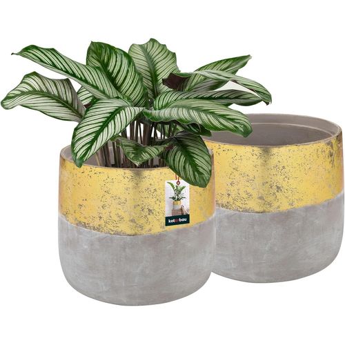 Chenquansarl-X Pot De Fleurs Doré ¿ 11,5 Cm|Pot En Céramique Non-Émaillée Pour Fleurs Et Herbes|Cache-Fleurs En Céramique Non-Émaillée|Cache Fleurs En Céramique|Pot De Fleurs En Céramique Naturelle