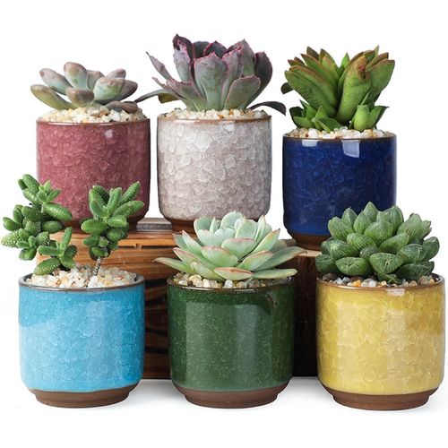 ChenQuanSarl-Pcs Pot De Fleur Succulente 6Cm Pots De Plantes Intérieur Mini Flower Pots Céramique Cache Pot Petite Plante Avec Plateau Bambou Pour Grasse Petit Cactus Pour Jardinière Décor Et Bureau
