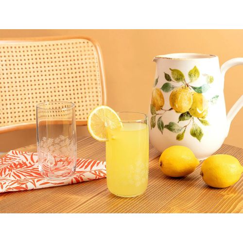 Ensemble De 4 Verres À Boisson Gazeuse Musette Feuilles Blanches - 365 Ml