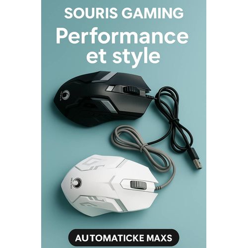 Souris gamer