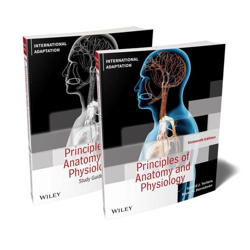 Principles Of Anatomy And Physiology