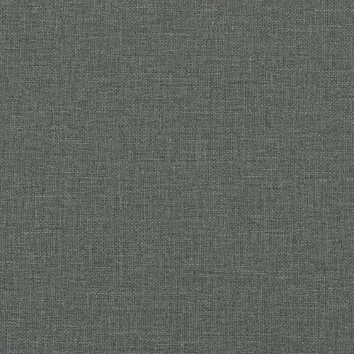 Vidaxl Lit De Repos Gris Foncé 100x200 Cm Tissu