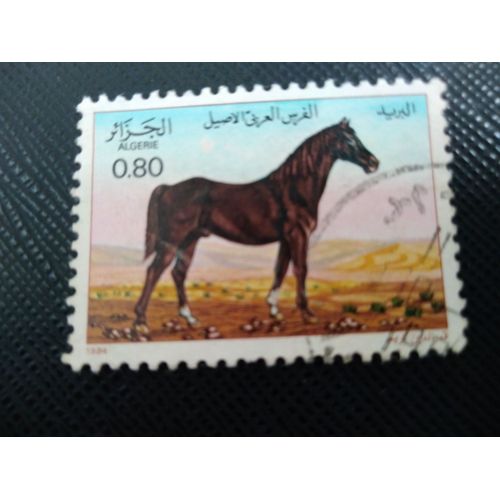 Timbre Algerie Y T 813 Pur-Sang Arabe (Equus Ferus Caballus) 1984 (220509 )