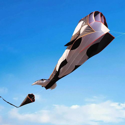 Ytseazn-Dragon Géant Pour Enfants,Cerf-Volant Pour Adultes,Cerf-Volant De Plage,Convient Pour La Pelouse Et Les Parcs,215 X 125 Cm