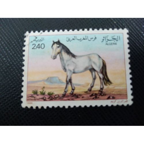 Timbre Algerie Y T 1814 Cheval Barbe (Equus Ferus Caballus) 1984 (220509 )