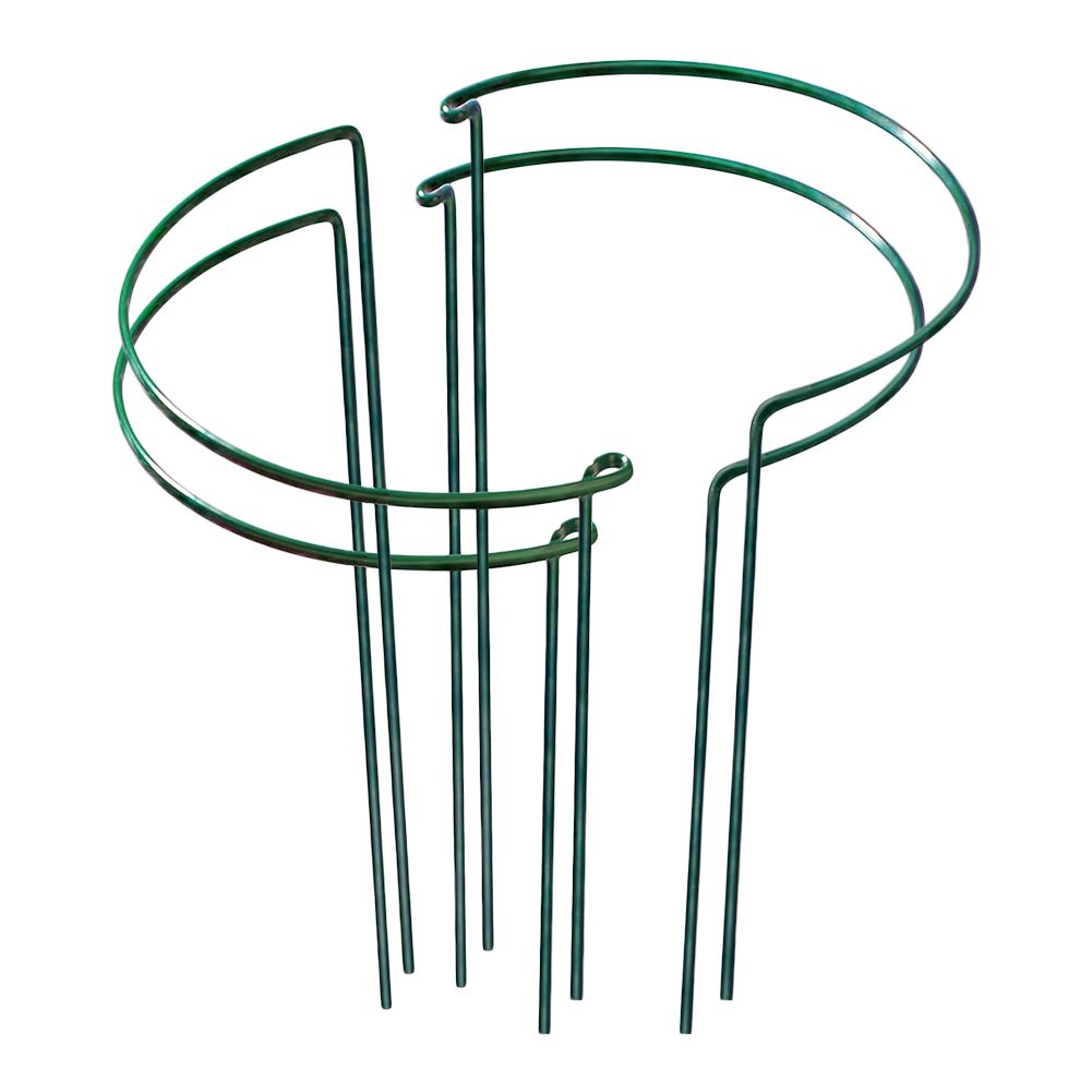 Piquet De Support De Plante Grimpante, Cadre Pys, Serre, Gand, Partenaires De Jardinage, Nouveau Support Pour Plante À Fleurs, Vigne Grimpante, Prompte Ket