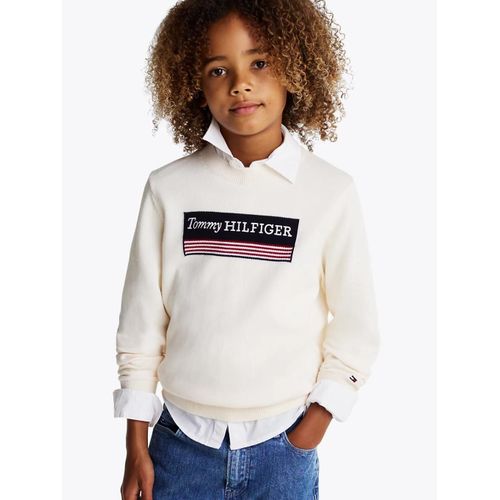 Pull 1985 Collection À Monotype Hilfiger Monotype 1985 Reg Sweater/Multi - 74 Cm