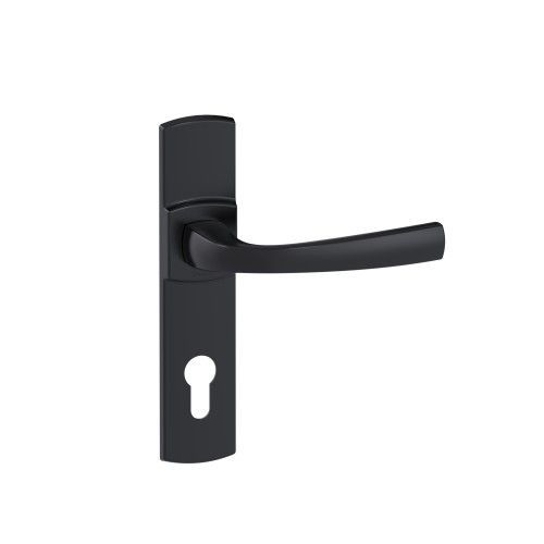 Poignées de porte sur plaques - entraxe 165 mm - noir mat Onyx - Muze - clé I VACHETTE