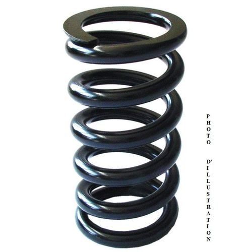 Ressort D'amortisseur Avant Adaptable - Renault Clio À Part. 09/1998