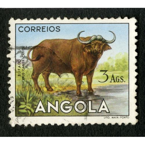 Timbre Oblitéré Angola, Bufalo, Correios, 3 Ags
