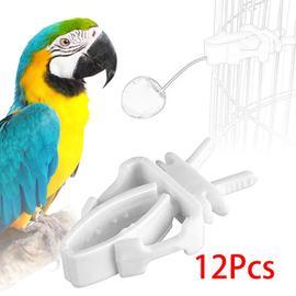 Acheter Support de perroquet avec ventouse, jouet en bois naturel pour  oiseaux, soulage l'ennui, pour cacatoès, aras, perruche