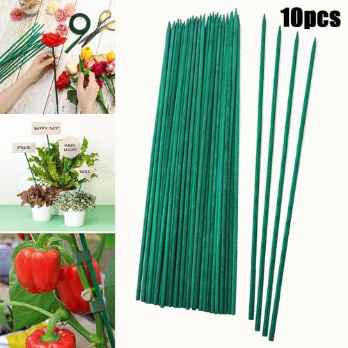 Bâtons De Plantes En Bambou Vert 40cm, 10 Pièces, Bâtons En Bois Vert, Tige De Support Pour Plantes Florales, Canne À Pointes, Outil De Jardinage