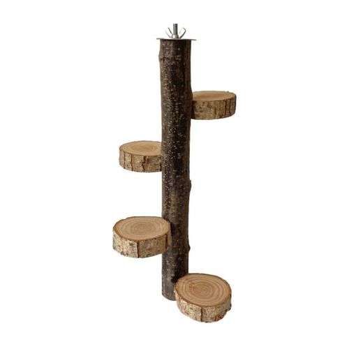 Support D'entraînement Portable Pour Perroquets Et Oiseaux, Perchoir Pour Animaux De Compagnie, Aire De Jeux Avec Plate-Forme Rotative, Jouet M76d