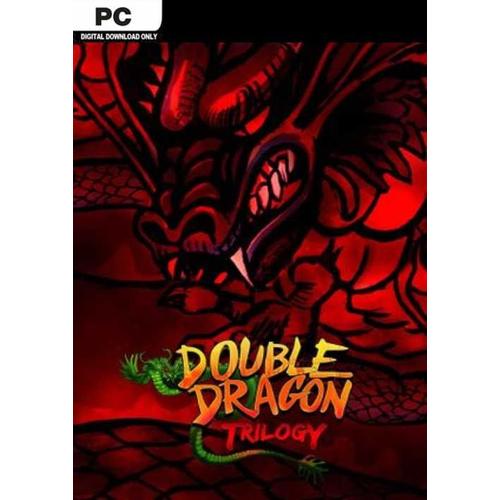 Double Dragon Trilogy Pc