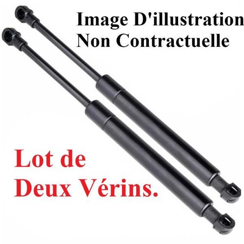 Lot De Deux Vérins De Hayon/Coffre À Bagages - Renault Megane 1.5 Dci 103 11/2002-12/2009