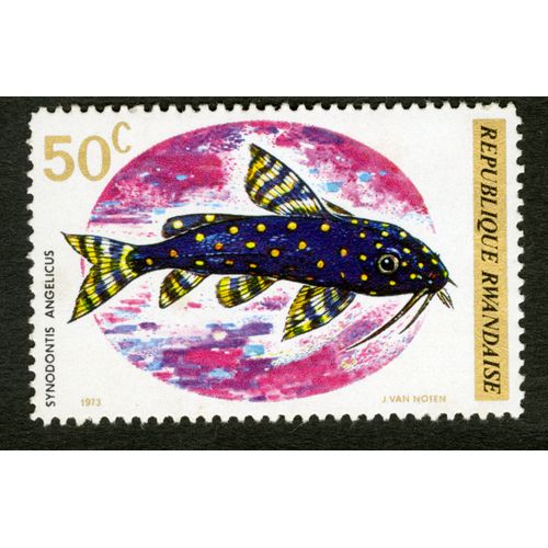 Timbre Non Oblitéré République Rwandaise, Synodontis Angelicus, 50 C, 1973,