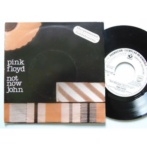 Pink Floyd "Not Now John"