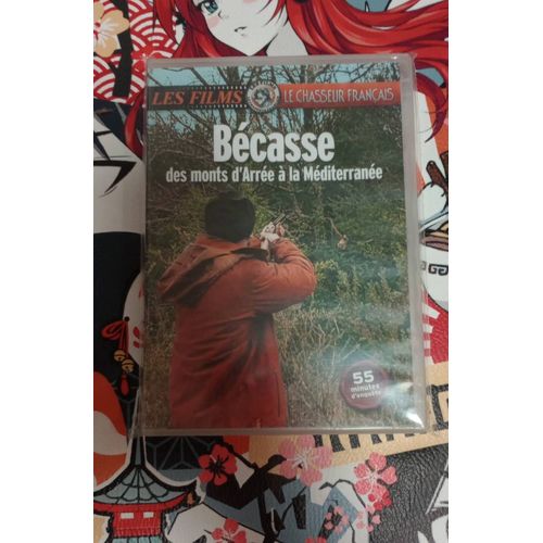 Chasse - Bécasse
