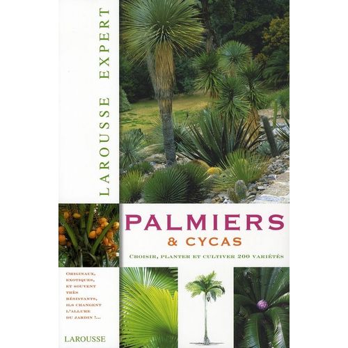 Palmiers Et Cycas