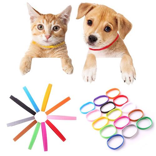 15pcs De Chien Colliers De Collier D'identification Bandes D'identification Chaîne Classique Coloré Polaire Distinguer Chiot Fournitures