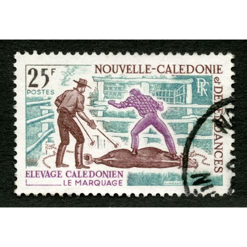 Timbre Oblitéré Nouvelle Calédonie Et Dépendances Élevage Calédonien, Le Marquage, 25 F, Postes