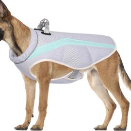 Manteau refrigerant pour online chien