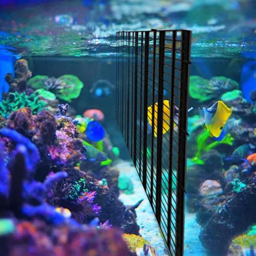 Plateau diviseur d'aquarium, filtre en plastique grille Isolation fond  caisse à ¿ufs diffuseur de lumière ventouse Clip accessoires de nettoyage 4  pièces