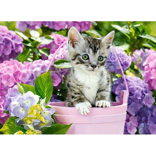Chaton Dans Un Panier - Puzzle 200 Pièces