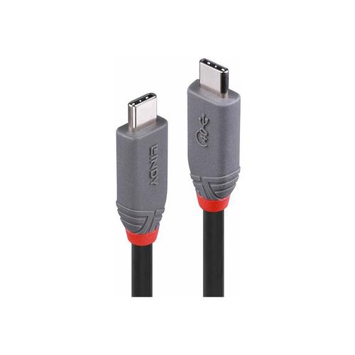 Lindy Anthra Line - Câble USB - 24 pin USB-C (M) pour 24 pin USB-C (M) - USB 2.0 / USB 3.2 / USB4 Gen 3x2 / Thunderbolt 3 - 80 cm - rond, Alimentation USB (5A, 100 W), support pour 8K60Hz...