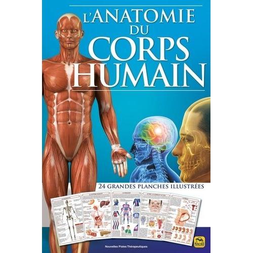 L'anatomie Du Corps Humain - 24 Grandes Planches Illustrées