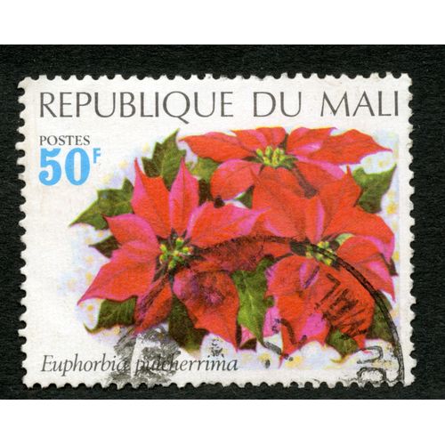 Timbre Oblitéré République Du Mali, Euphorbia Pulcherrima, Postes, 50 F