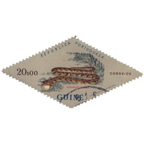 Guinée Portugaise 1963 Oblitéré Reptile Serpent Dasypeltis Fasciata Y&T Pt-Gn 317 Su
