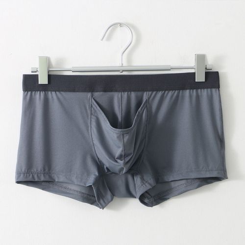 Clever-Menmode Sous-Vêtements Sexy Hommes Boxeurs Éléphant Nez Caleçon Mâle Culotte Glace Soie U Convexe Longue Pochette Pour Pénis Boxershorts