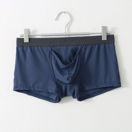 Clever-Menmode Sous-Vêtements Sexy Hommes Boxeurs Éléphant Nez Caleçon Mâle Culotte Glace Soie U Convexe Longue Pochette Pour Pénis Boxershorts