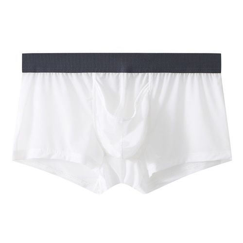 Clever-Menmode Sous-Vêtements Sexy Hommes Boxeurs Éléphant Nez Caleçon Mâle Culotte Glace Soie U Convexe Longue Pochette Pour Pénis Boxershorts