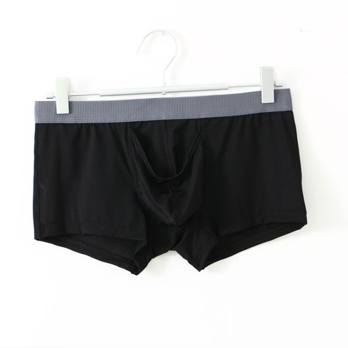 Clever-Menmode Sous-Vêtements Sexy Hommes Boxeurs Éléphant Nez Caleçon Mâle Culotte Glace Soie U Convexe Longue Pochette Pour Pénis Boxershorts