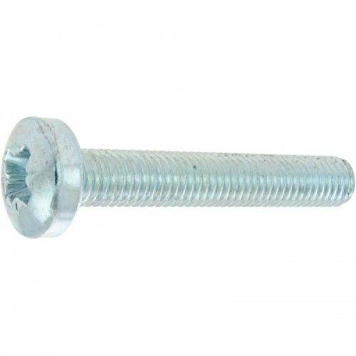 Vis à métaux - Pozidriv - tête cylindrique bombée - 3x10 mm - 500 GFD