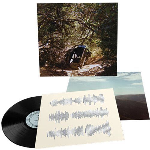Ty Segall - Possession [Vinyl Lp]