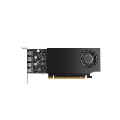 NVIDIA RTX A1000 - Carte graphique - RTX A1000 - 8 Go GDDR6 - PCIe 4.0 x8 profil bas - 4 x Mini DisplayPort