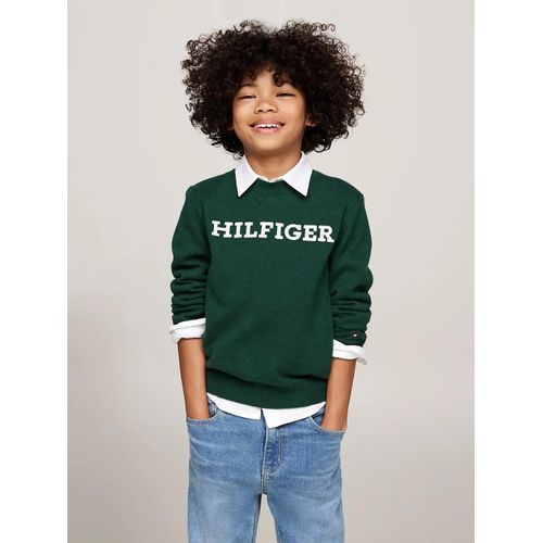 Pull Col Ras-Du-Cou Hilfiger Monotype Monotype Regular Sweater/Ornamental Green - 74 Cm