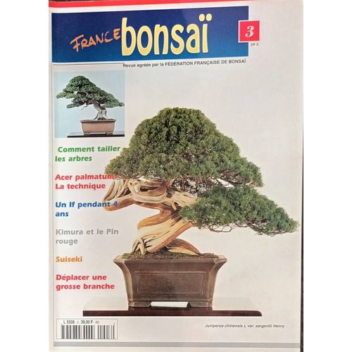 France Bonsai N ° 3