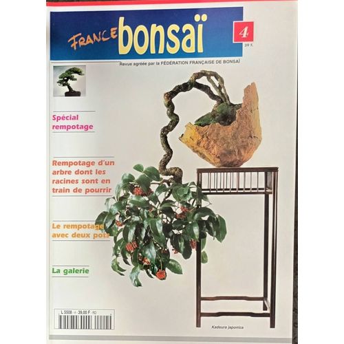France Bonsai N ° 4